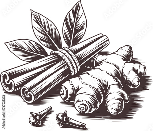 Cinnamon ginger cloves illustration cinnamon sticks ginger root