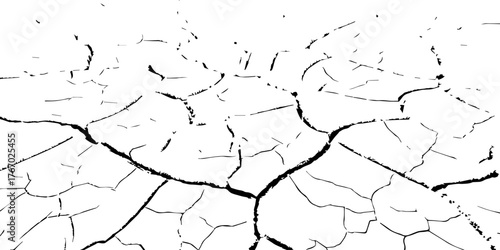 Cracked dry earth texture representing drought and desertification. High-contrast black and white cracked soil background ideal for climate change, environmental, or natural texture design projects.