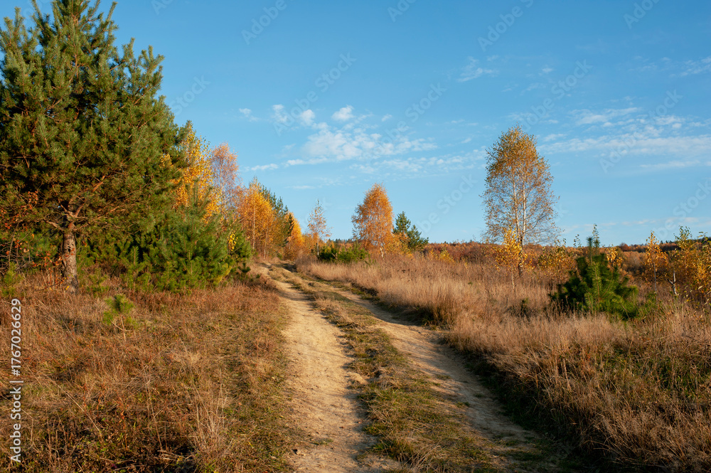 Naklejka premium the mountain autumn landscape with colorful forest