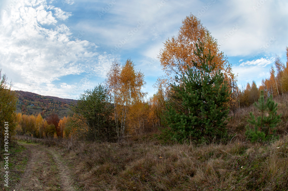 Fototapeta premium the mountain autumn landscape with colorful forest