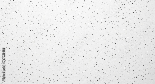 White speckled acoustic ceiling with textured surface and small black dots