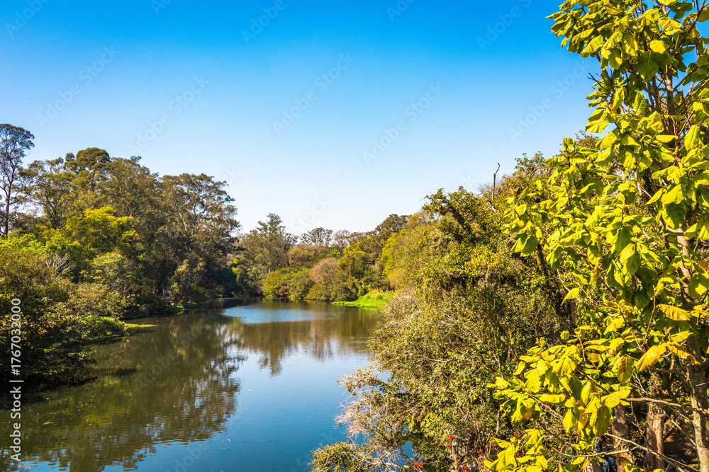 Fototapeta premium Lago e natureza exuberante em dia ensolarado