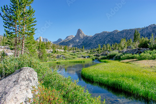 Stream through an alpine meadow, Kings Canyon National Park, California