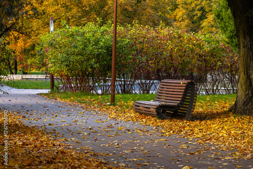 A long, tree-lined promenade in an urban park is carpeted with colorful fall leaves