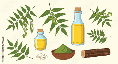 Collection of neem leaves, oil, powder, pills, and bark for natural remedies and skincare.