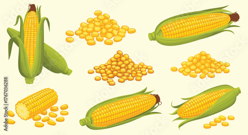 A vibrant collection of fresh corn on the cob and loose kernels displayed against a light background.
