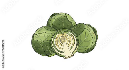 A pile of fresh Brussels sprouts, with one cut in half to show its leafy interior, on a white background.