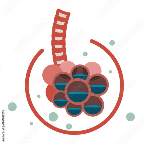 Human Lungs Cells - PULMONARY EDEMA - Icon