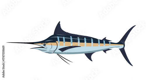 Vector illustration of a marlin, a powerful marine creature known for its long pointed bill, tall dorsal fin, and distinctive striped body.