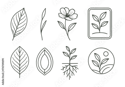 Line vector icons of botanical illustration: leaf detail, stem line, floral sketch, botanical label, plant section, seed diagram,