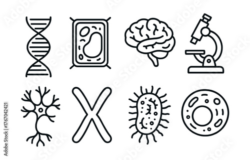Line style icons of biology and life science: DNA strand, plant cell, brain, microscope, nerve system, chromosome, bacteria, cell