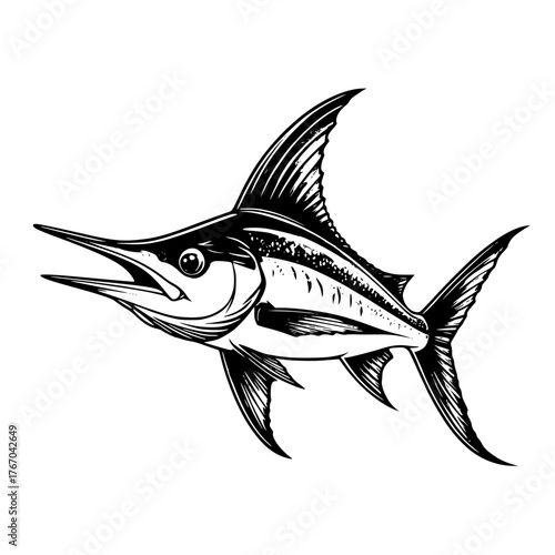 Swordfish illustration, monochrome style, detailed drawing