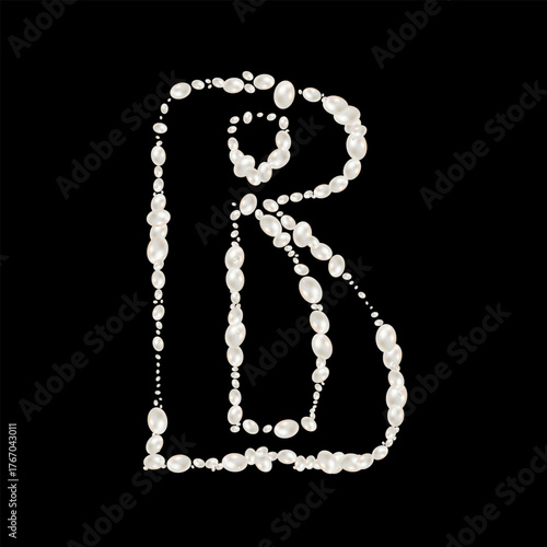 Capital Letters B of English alphabet. luxury and elegant font glamour french style