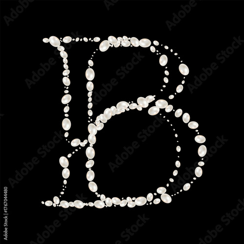 Capital Letters B of English alphabet. luxury and elegant font glamour french style