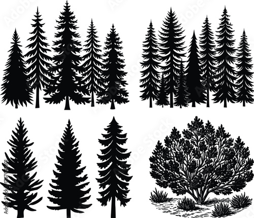 A vibrant vector illustration of a set of fir trees in a snowy winter forest landscape is perfect for your Christmas holiday design and new year celebration backgrounds