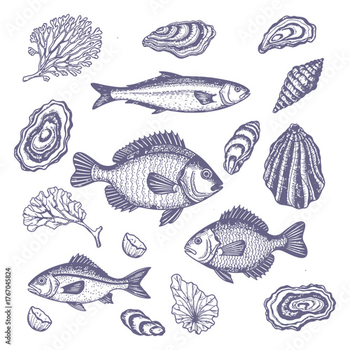 Collection of hand drawn seafood illustrations featuring fish and shellfish in a sketchy style