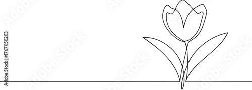 tulip flower one continuous line art, Vector illustration, One line art, Line art graphic style