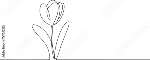 tulip flower one continuous line art, Vector illustration, One line art, Line art graphic style