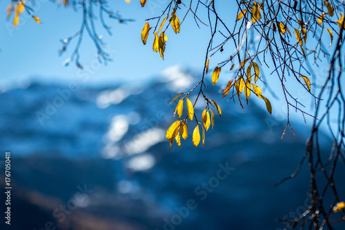 Herbst im Engadin in Graubünden in der Schweiz