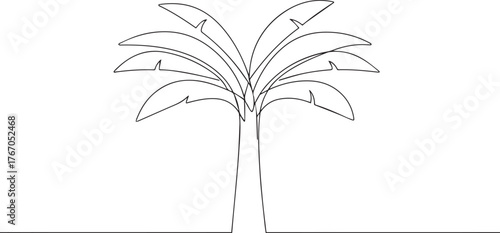 Banana tree one continuous line art, Vector illustration, One line art, Line art graphic style