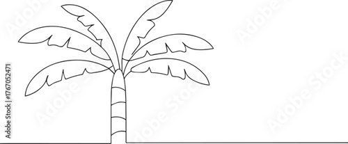 Banana tree one continuous line art, Vector illustration, One line art, Line art graphic style