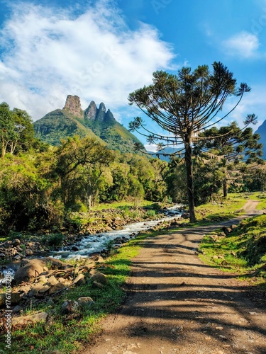 Dirt road along a mountain stream with Araucaria trees and the Soldados do Sebold peaks in Alfredo Wagner, Santa Catarina, Brazil