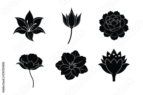 Six distinct silhouette floral shapes isolated isolated on white background