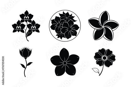Black and white floral silhouettes various flower designs isolated on white background