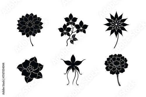 Six black floral silhouettes decorative design elements isolated isolated on white background