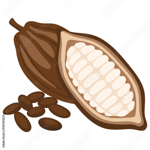Cocoa beans vector icon. Chocolate sweets design. Healthy detox natural product superfood illustration for design market menu superfood