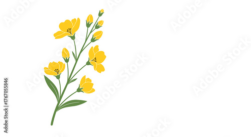 A delicate illustration of a stem with yellow flowers and green leaves on a white background.