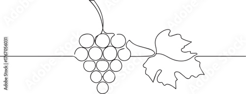 Grape fruit with leaf one continuous line art, Vector illustration, One line art, Line art graphic style