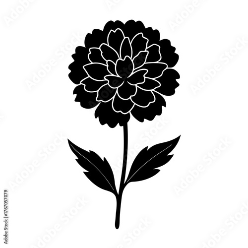 A marigold silhouette vector illustration