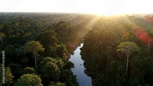 Aerial drone shot flying over a lush rainforest canopy with morning mist at sunrise, revealing a winding river below ecosystem, adventure, wild