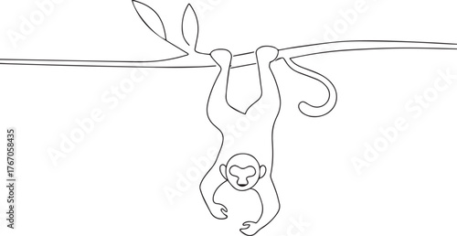 Monkey hanging one continuous line art, Vector illustration, One line art, Line art graphic style