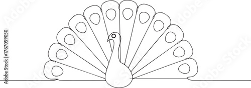Peacock spreading one continuous line art, Vector illustration, One line art, Line art graphic style