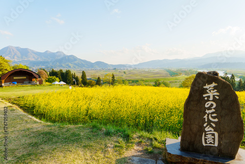 Wallpaper Mural 250504飯山市菜の花公園 Torontodigital.ca