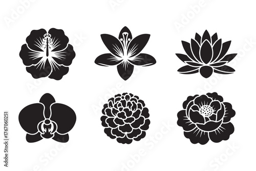 Collection of six stylized black and white floral silhouettes