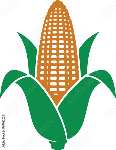 Stylized illustration of a ripe ear of corn with green husks and kernels on a white background