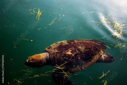 Kefalonia - Greece - August 15, 2025: Argostoli harbor,, Kefalonia,  Greece.