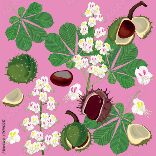Composition of ripe horse chestnut fruit, flowers and green leaves of horse chestnut (Aesculus hippocastanum)  on pink background. Seamless pattern.	