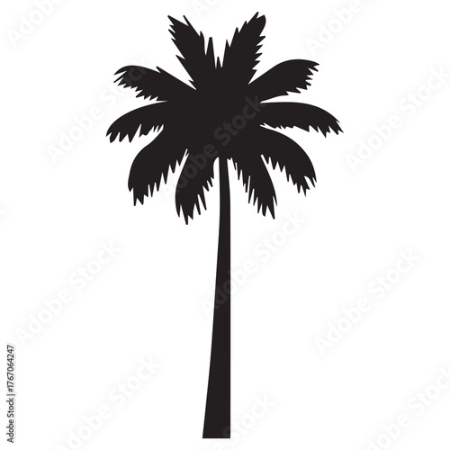 silhouette of palm trees