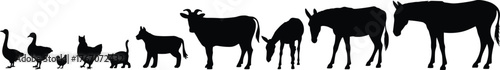 Farm animal silhouettes, goose, hen, chick, cat, goat, cow, donkey, horse, mule, livestock lineup, rural agriculture, countryside illustration