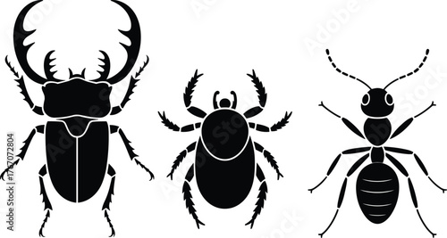 Insect silhouettes collection, stag beetle, tick, ant, black outline, entomology, biology, pest control, wildlife, isolated white background vector illustration