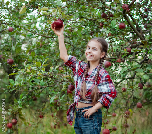 Cheerful Girl in a checkered shirt picks an apple from tree, concept of organic apples in the garden. Girl eating organic apples in the garden. Harvest concept. Harvesting autumn apple harvest.