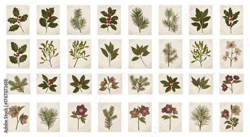 Botanical arrangement of pressed leaves and flowers on paper cards