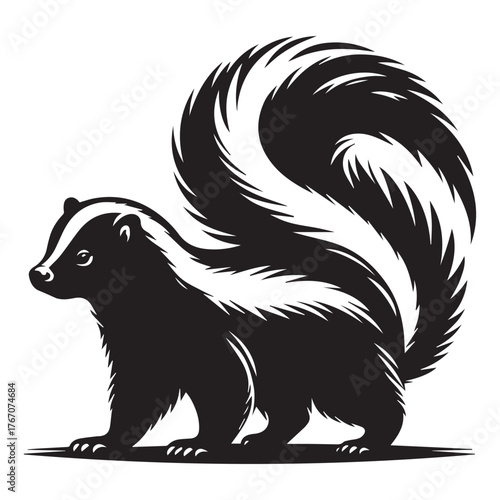 vector illustration of a Skunk