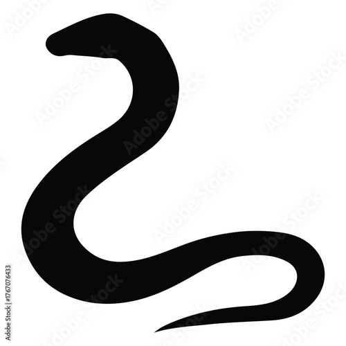 black and white snake