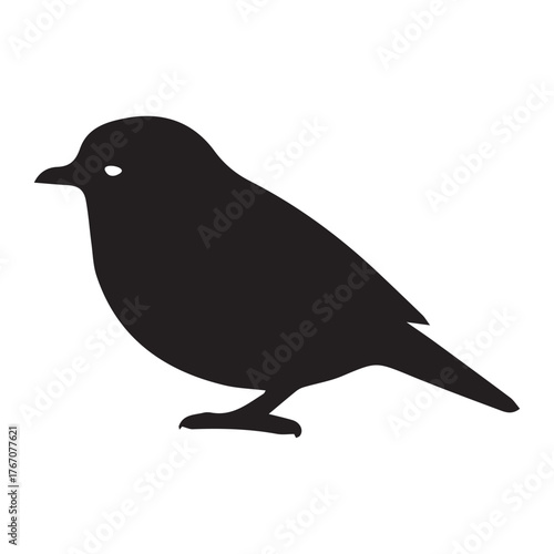 Sparrow silhouette vector with white background