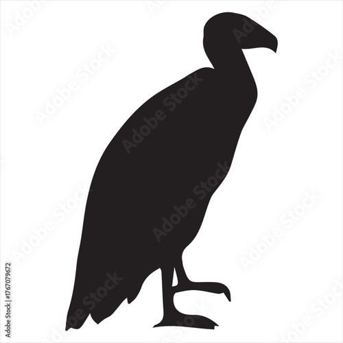 Vulture sheet silhouette vector with white background
